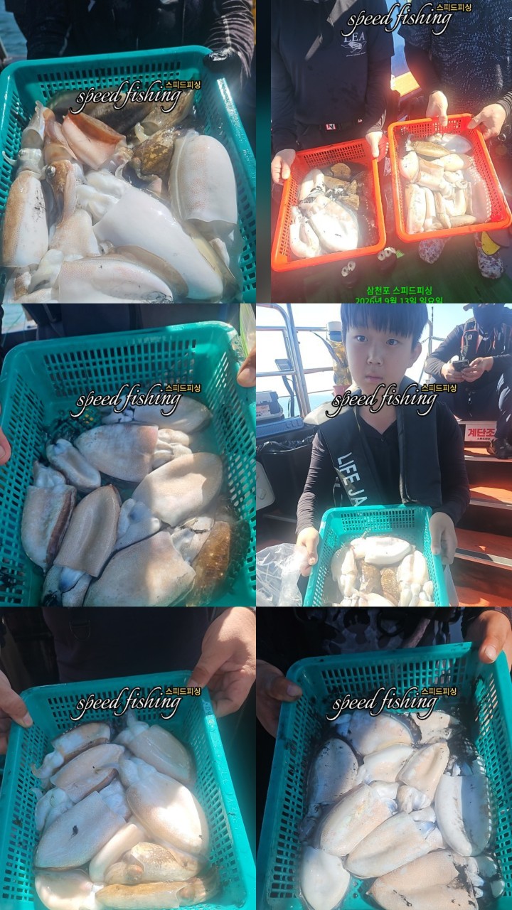 9월 13일 삼천포 갑오징어 선상낚시 조황 현장 사진 2