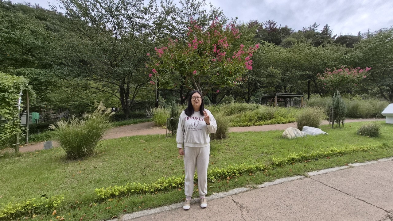 사용자가 올린 이미지