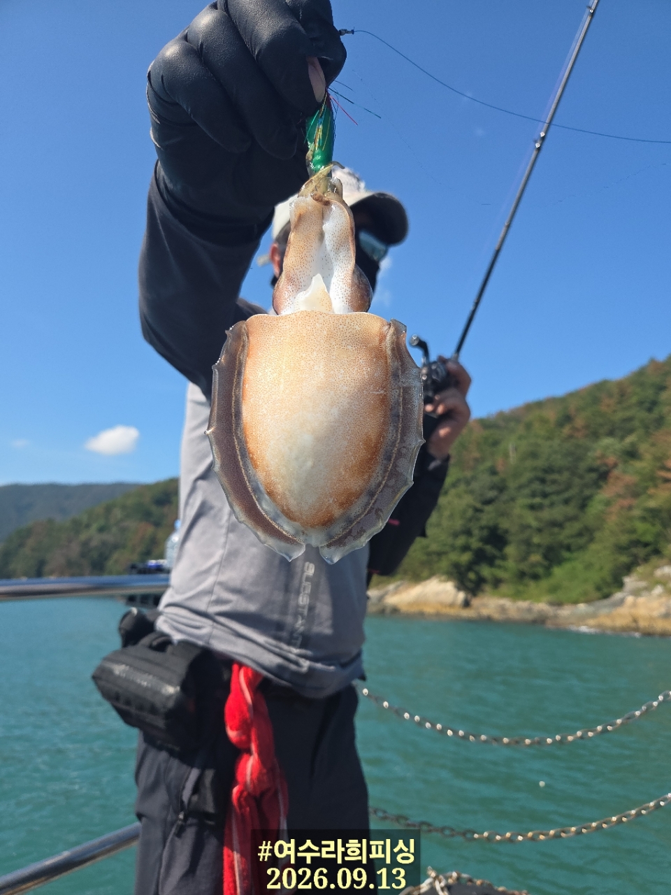 9월 13일 갑오징어 선상낚시 조황 현장 사진 18