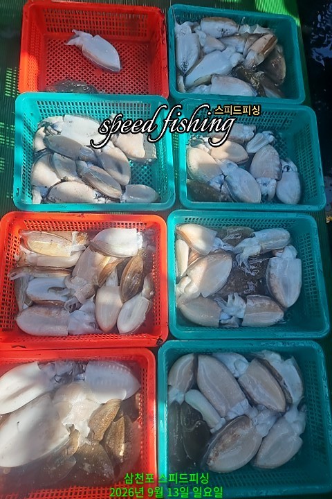9월 13일 삼천포 갑오징어 선상낚시 조황 현장 사진 1