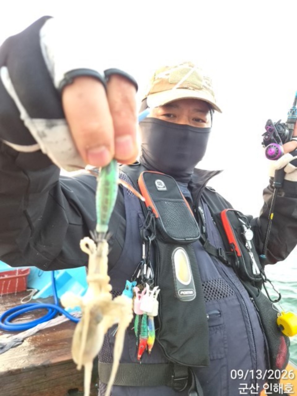9월 13일 군산 갑오징어 선상낚시 조황 현장 사진 18