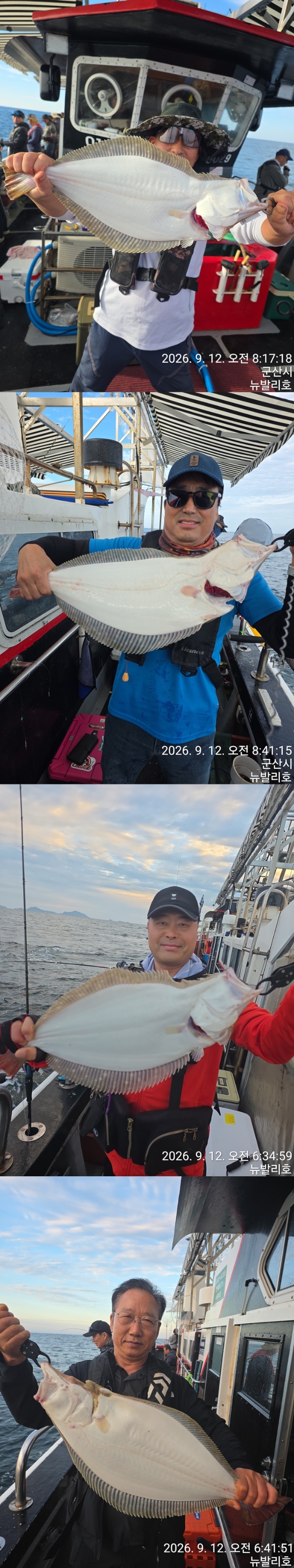 9월 13일 군산 갑오징어 선상낚시 조황 현장 사진 4
