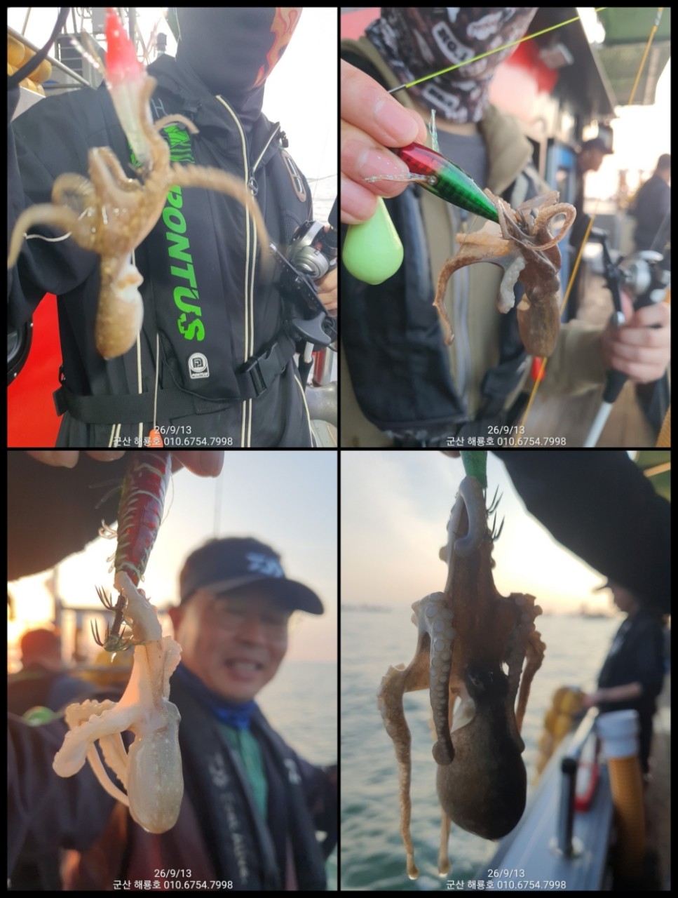 9월 13일 군산 주꾸미 선상낚시 조황 현장 사진 9