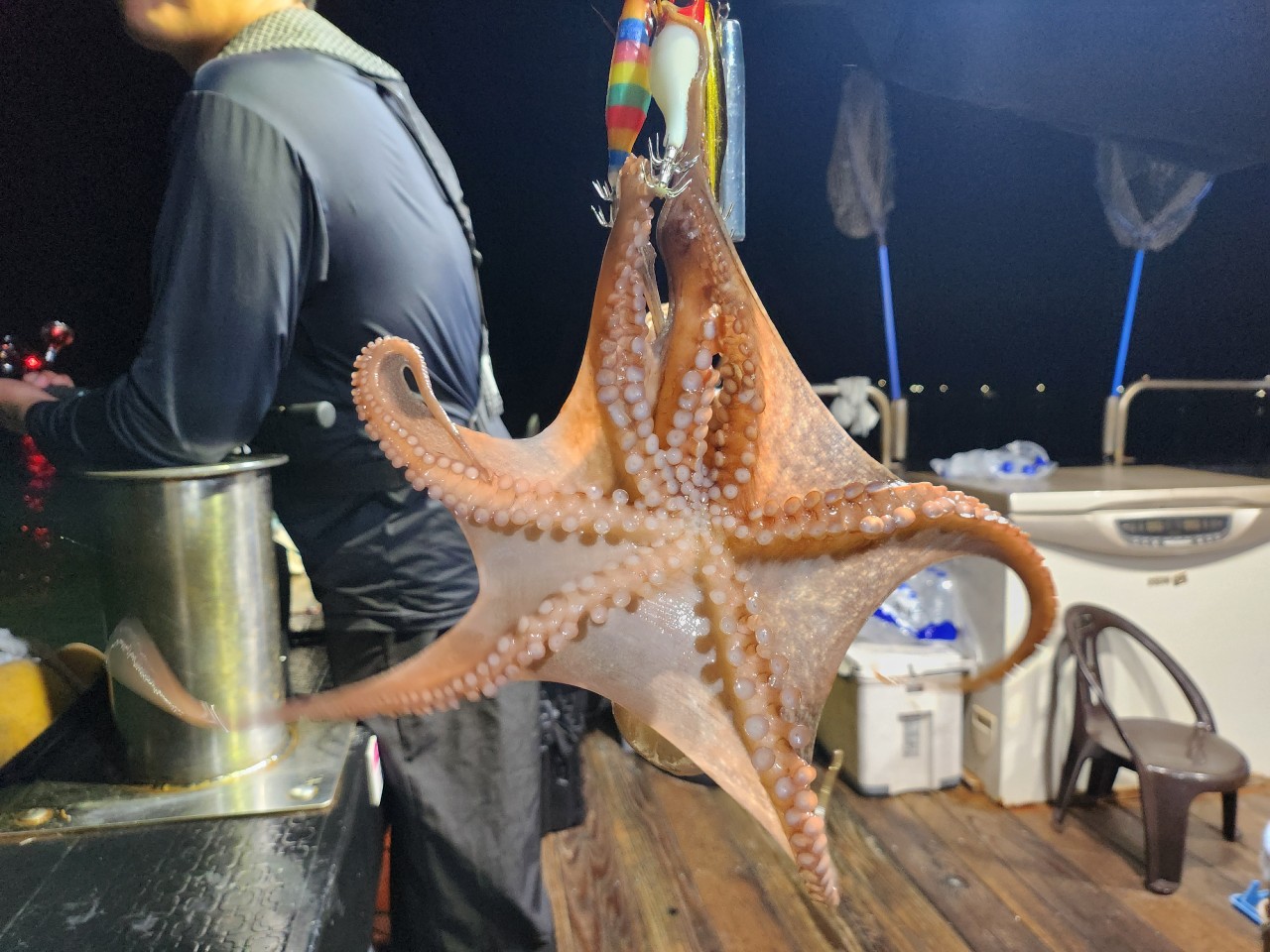 9월 13일 무늬오징어 선상낚시 조황 현장 사진 8
