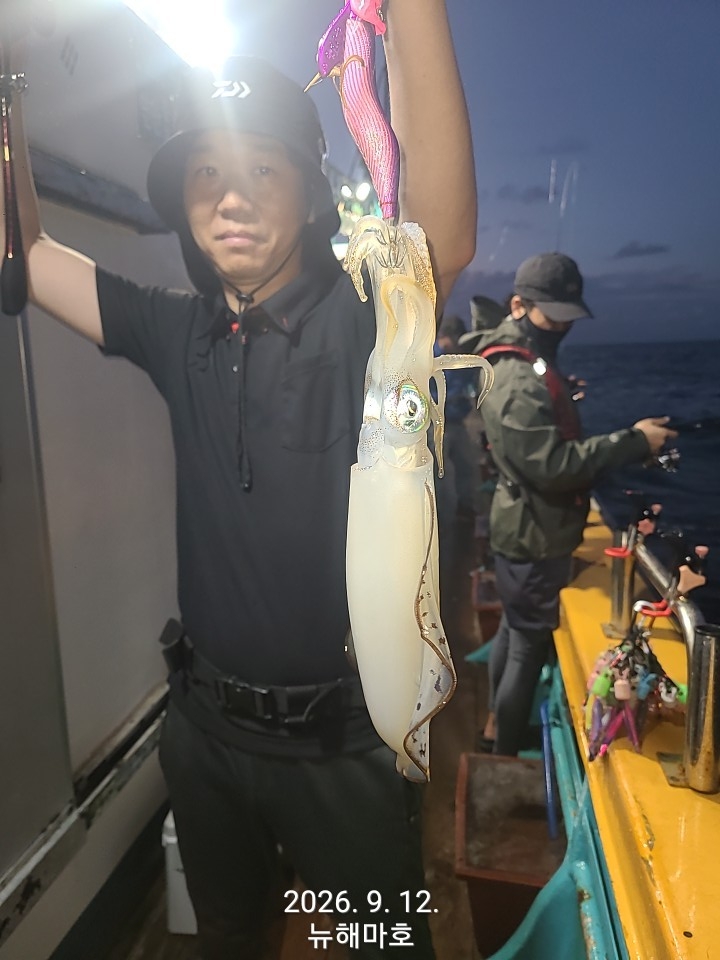 9월 13일 포항 무늬오징어 선상낚시 조황 현장 사진 22