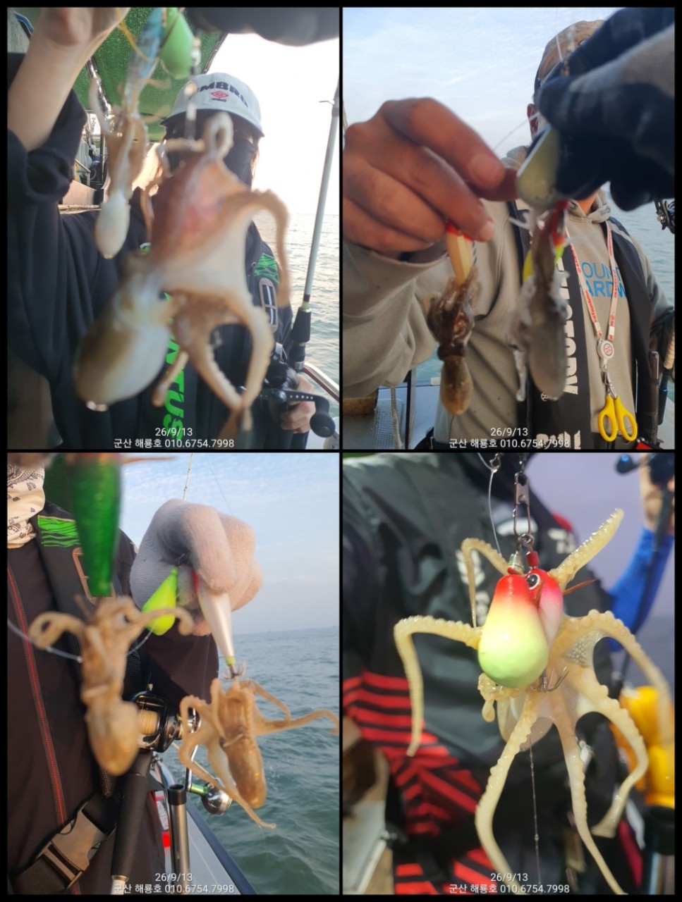 9월 13일 군산 주꾸미 선상낚시 조황 현장 사진 6