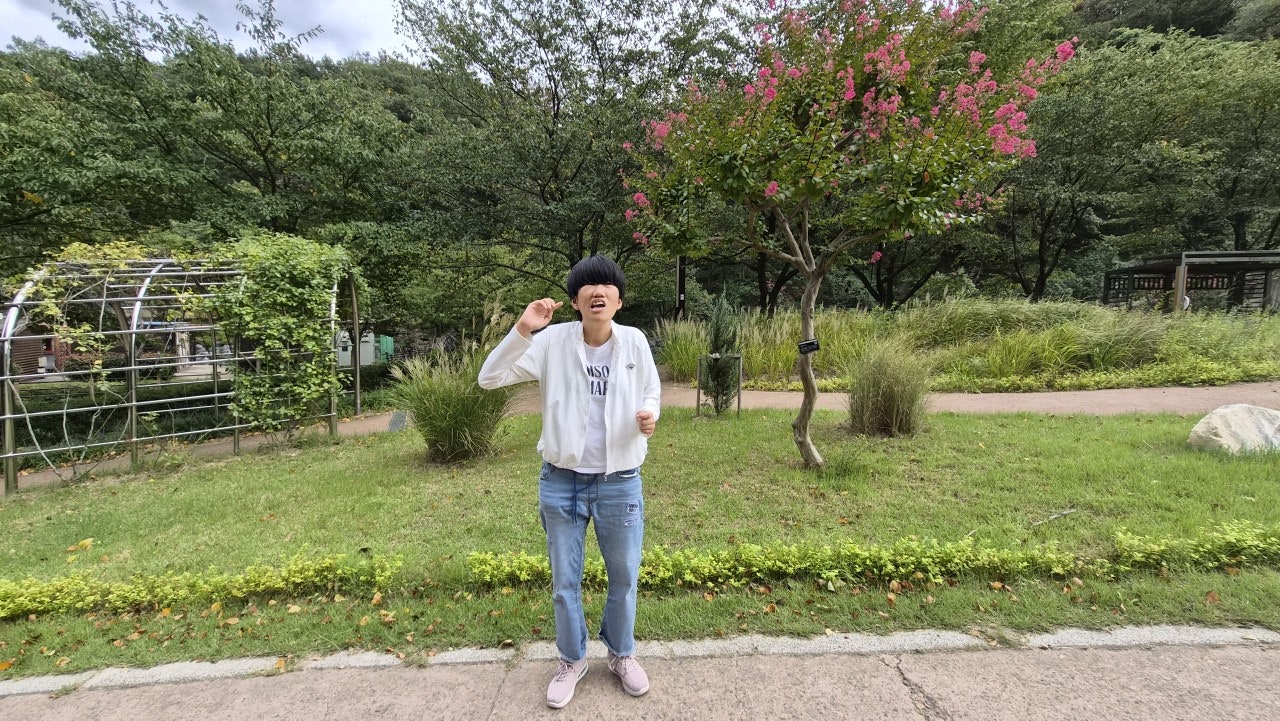 사용자가 올린 이미지