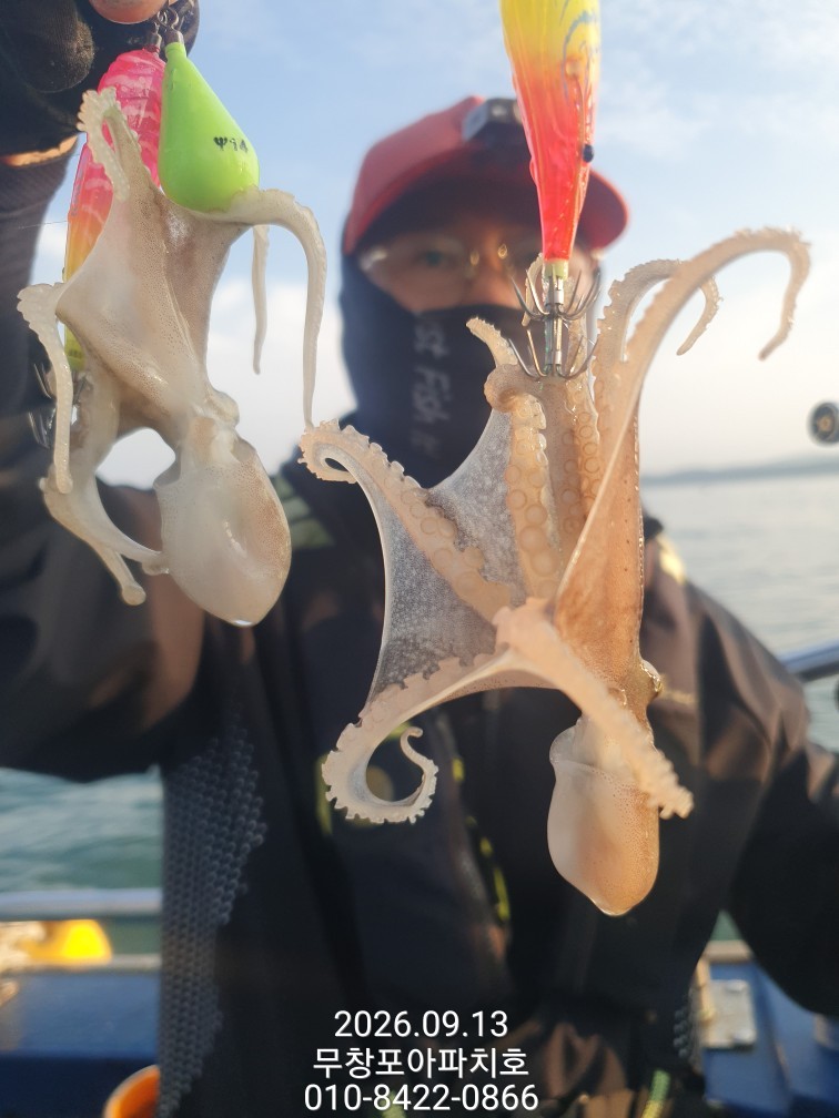 9월 13일 포항 주꾸미 선상낚시 조황 현장 사진 20