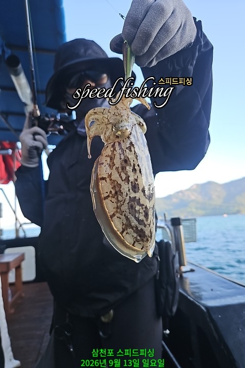 9월 13일 삼천포 갑오징어 선상낚시 조황 현장 사진 9