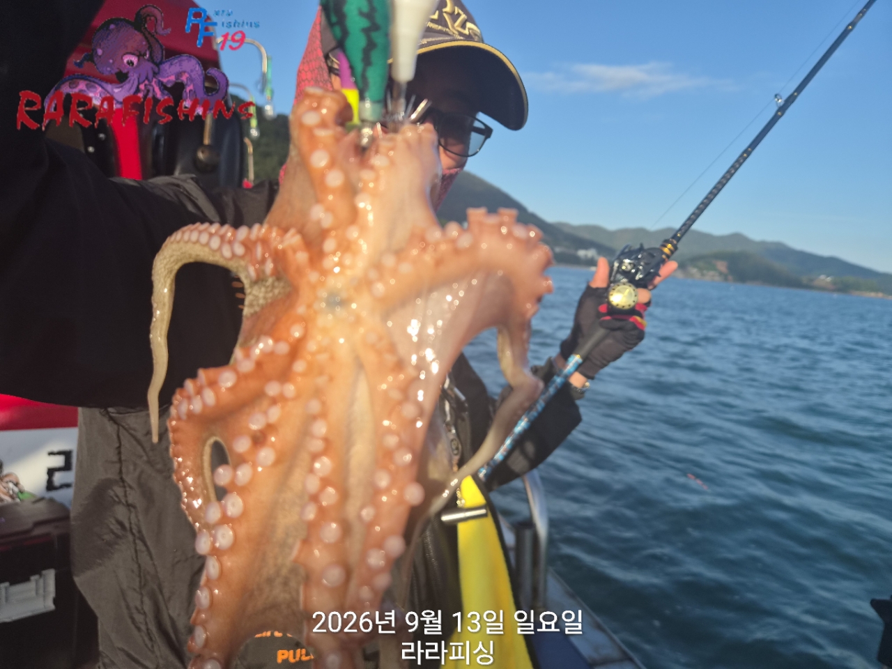 9월 13일 진해 문어 선상낚시 조황 현장 사진 5