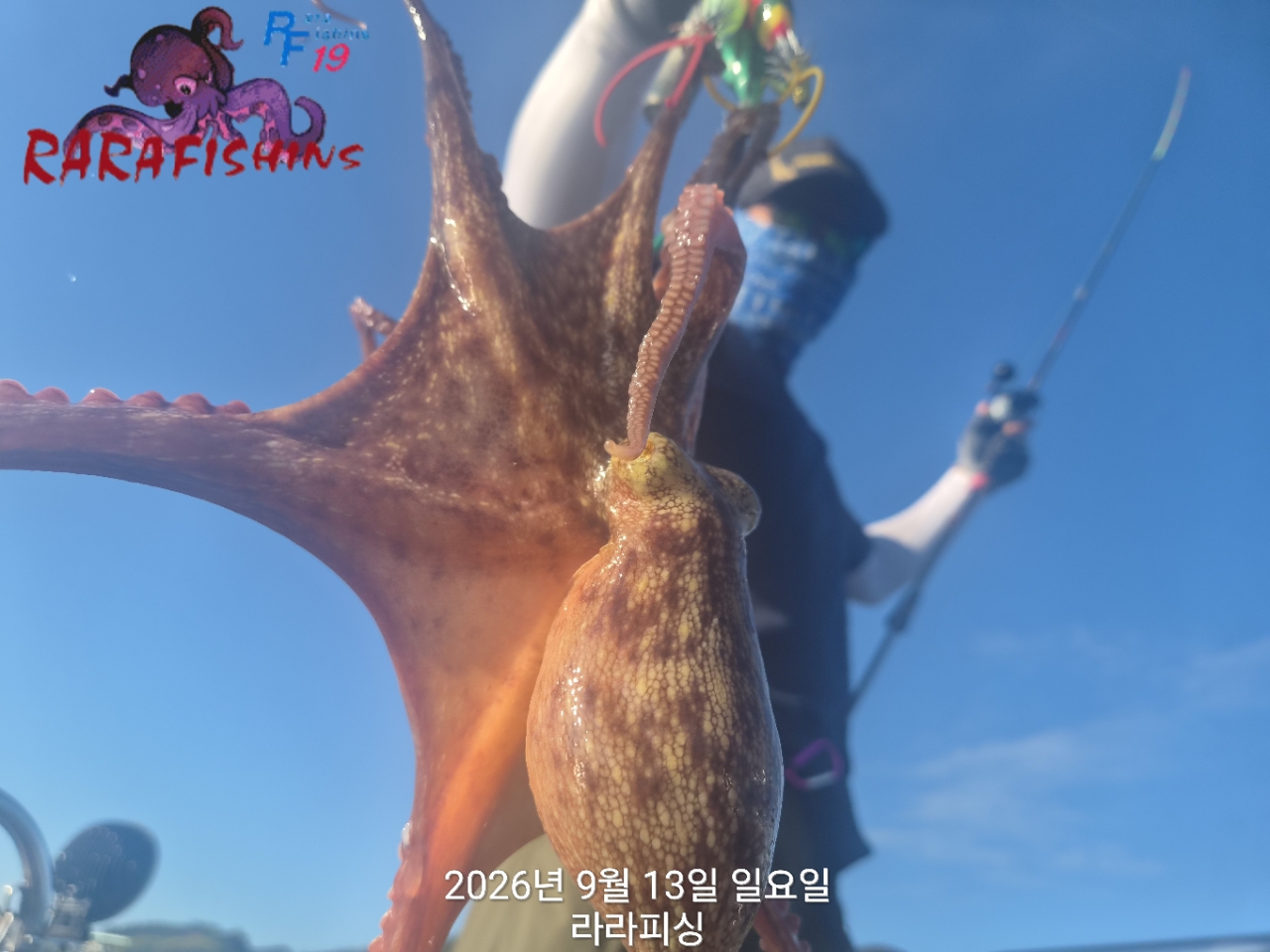 9월 13일 진해 문어 선상낚시 조황 현장 사진 6