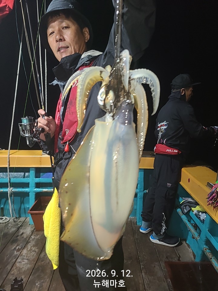 9월 13일 포항 무늬오징어 선상낚시 조황 현장 사진 3