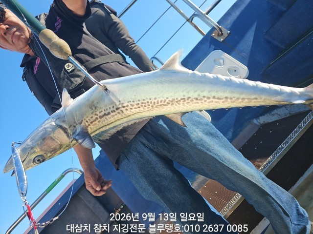 9월 13일 선상낚시 조황 현장 사진 15