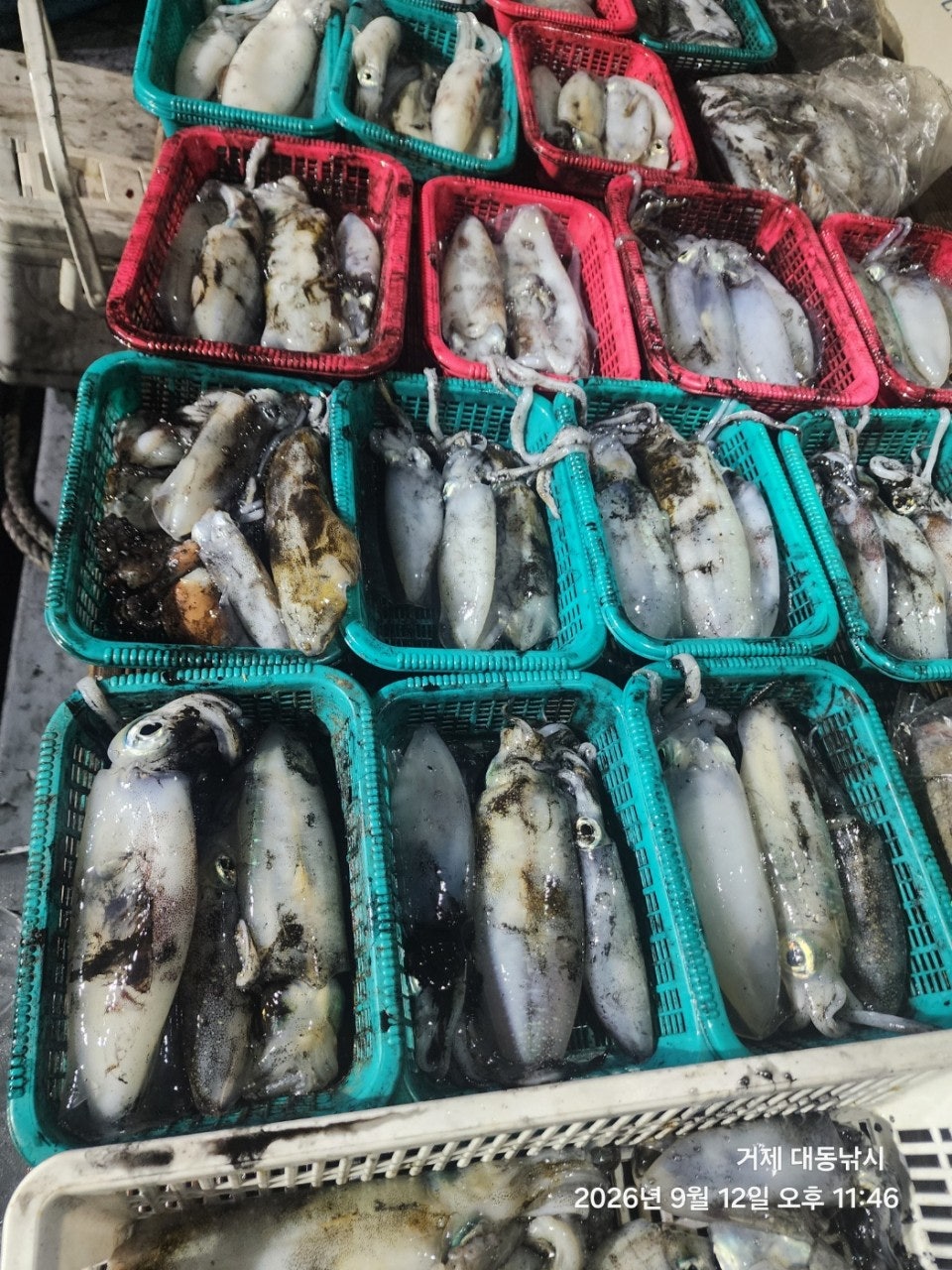 ����ڰ� �ø� �̹���