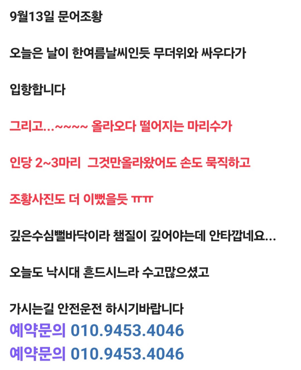 9월 13일 선상낚시 조황 현장 사진 1