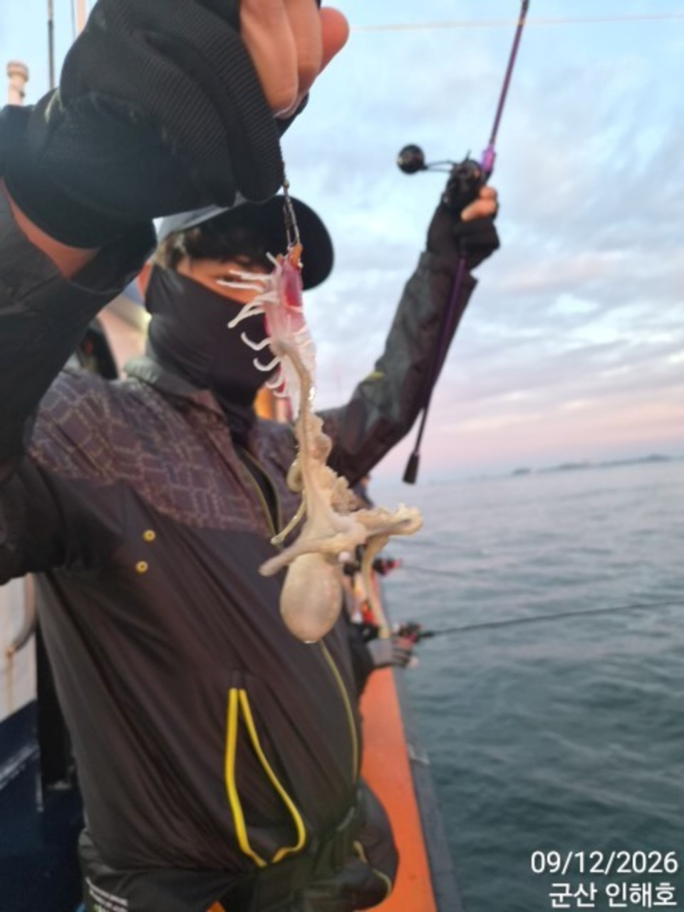 9월 12일 군산 갑오징어 선상낚시 조황 현장 사진 9