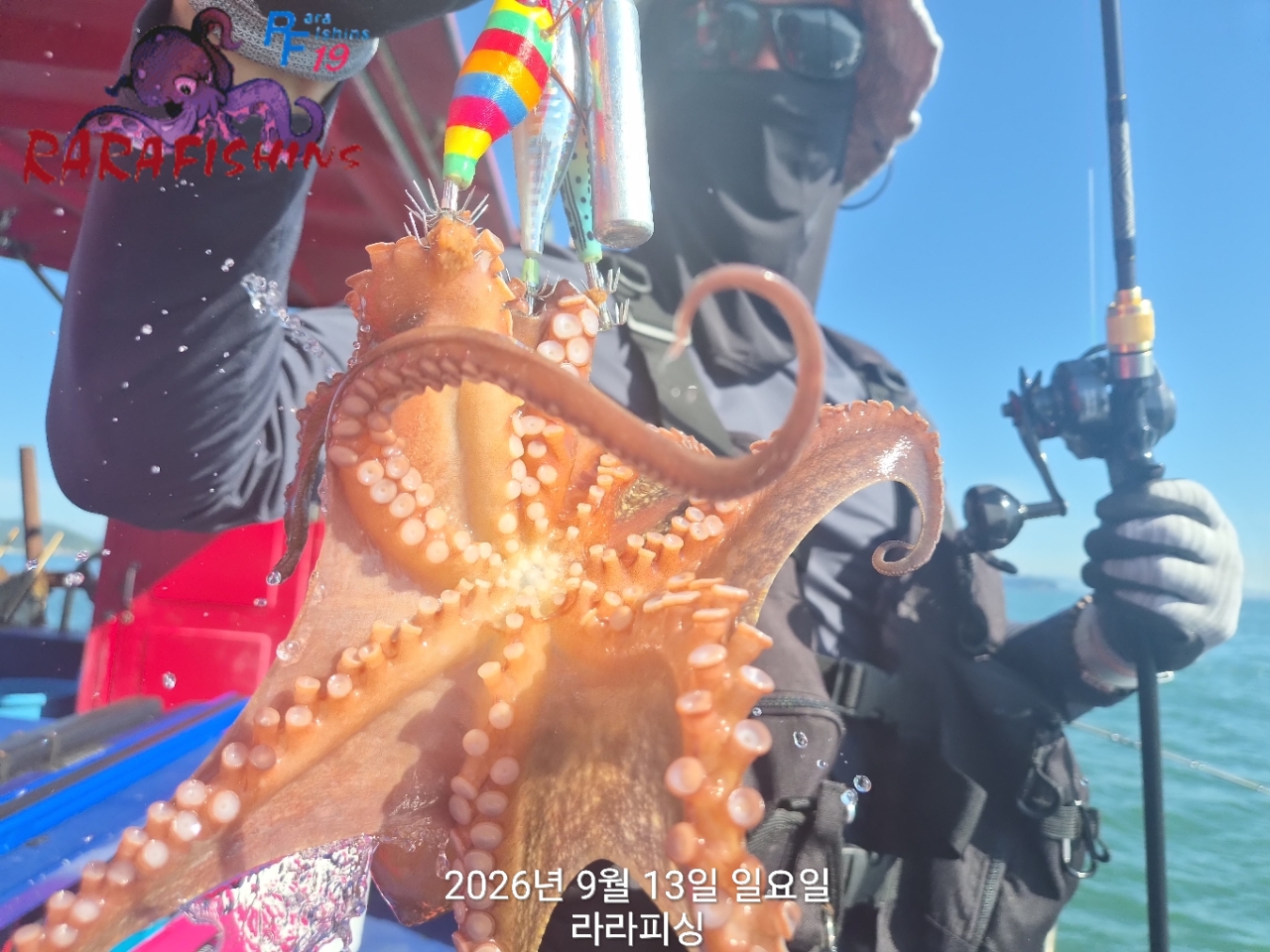 9월 13일 진해 문어 선상낚시 조황 현장 사진 10