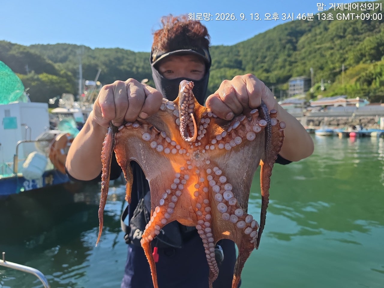 ����ڰ� �ø� �̹���