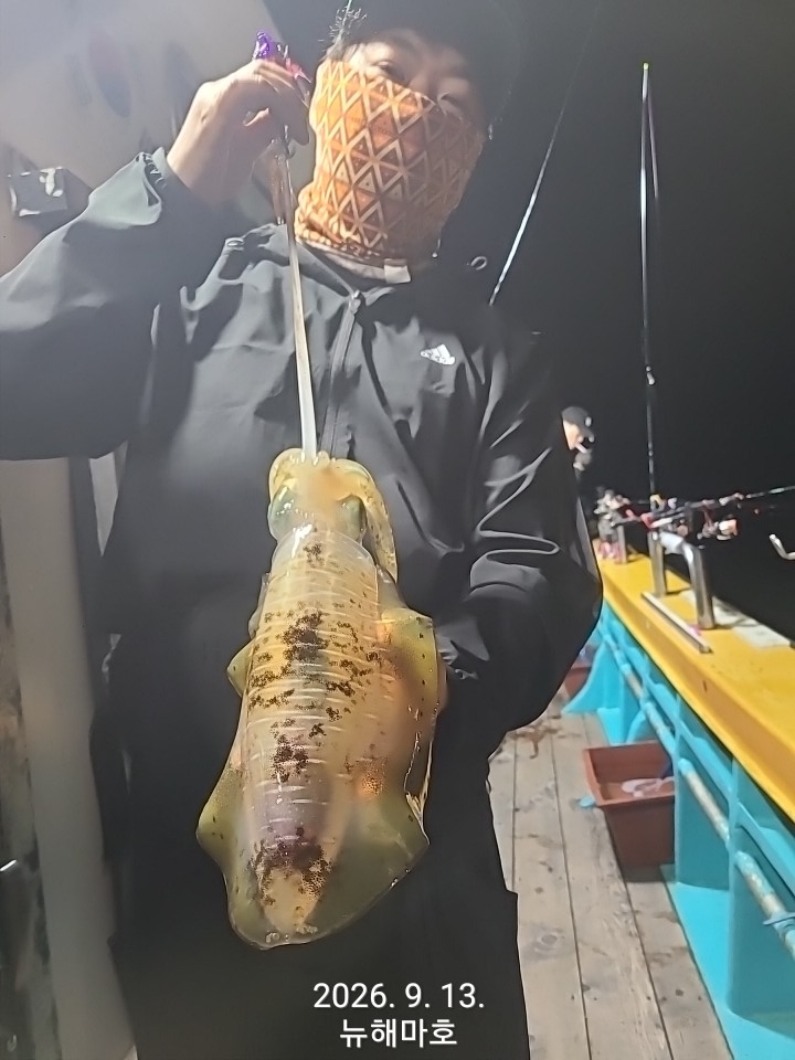 9월 14일 포항 무늬오징어 선상낚시 조황 현장 사진 7