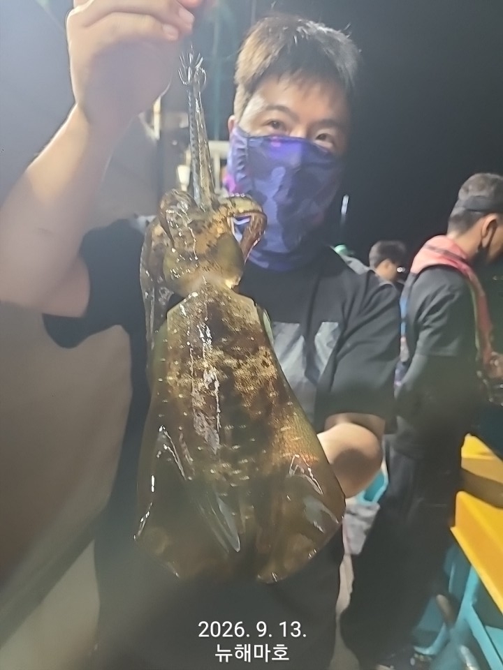 9월 14일 포항 무늬오징어 선상낚시 조황 현장 사진 6