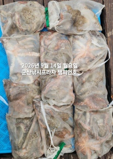 9월 14일 여수 문어 선상낚시 조황 현장 사진 2