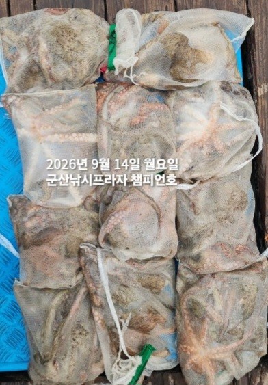 9월 14일 여수 문어 선상낚시 조황 현장 사진 1