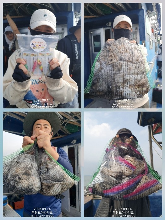 9월 14일 포항 주꾸미 선상낚시 조황 현장 사진 2