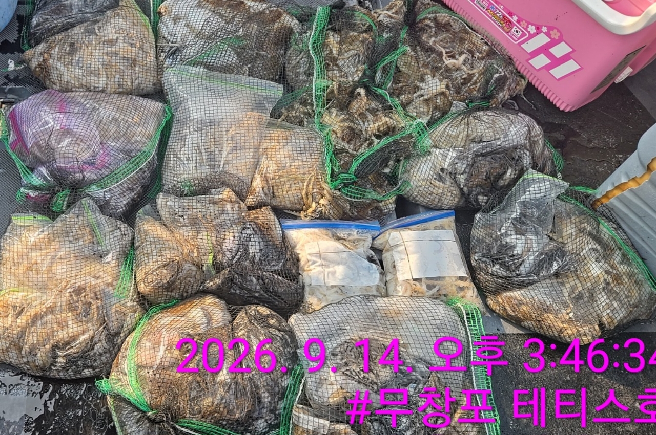 9월 14일 갑오징어 선상낚시 조황 현장 사진 2