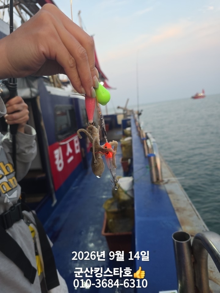 9월 14일 군산 주꾸미 선상낚시 조황 현장 사진 6