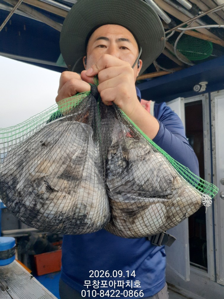 9월 14일 포항 주꾸미 선상낚시 조황 현장 사진 8