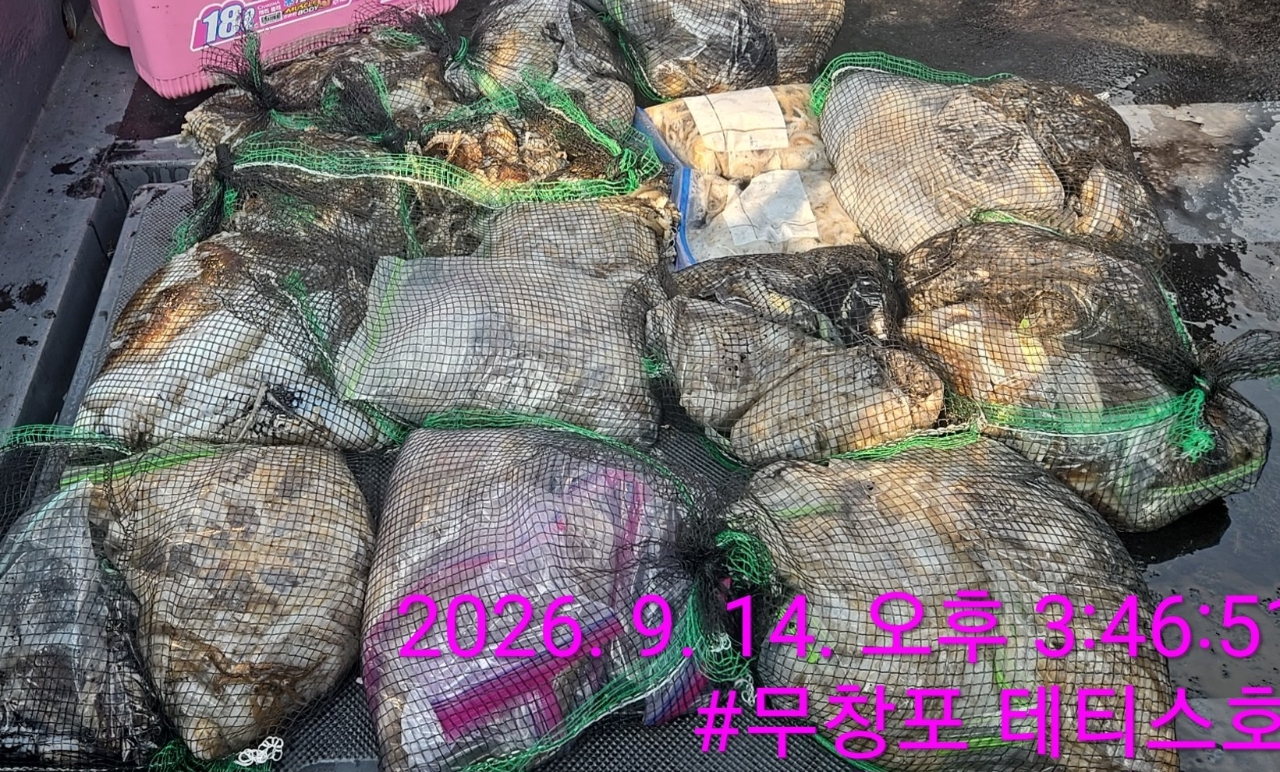 9월 14일 갑오징어 선상낚시 조황 현장 사진 3