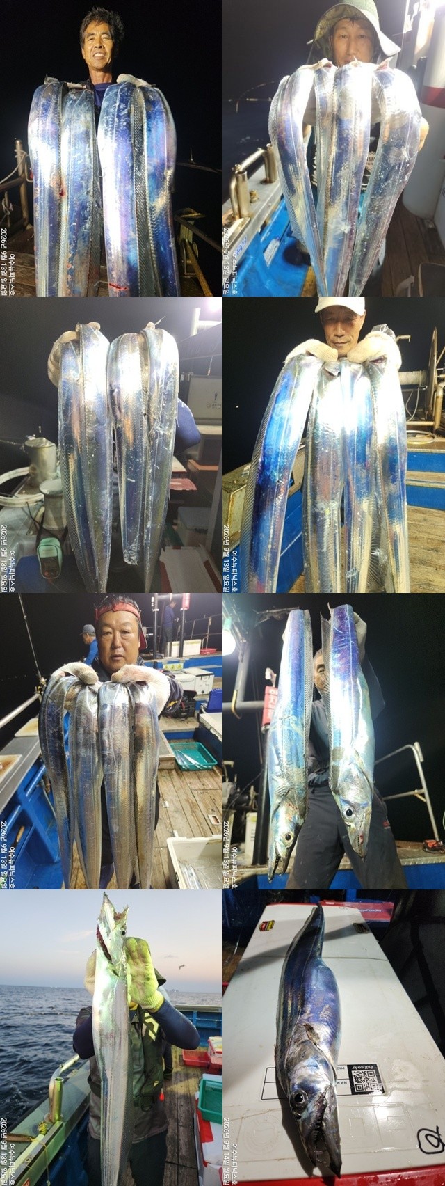 9월 14일 남해 갈치 선상낚시 조황 현장 사진 2