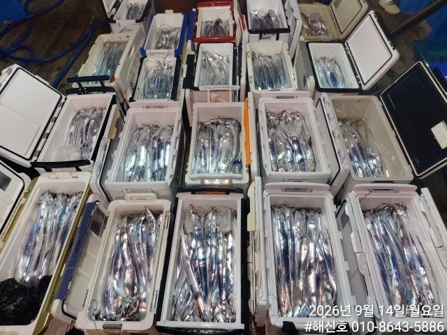����ڰ� �ø� �̹���