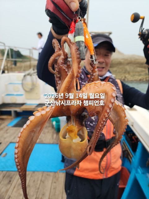 9월 14일 여수 문어 선상낚시 조황 현장 사진 3