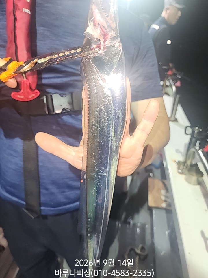 9월 13일 갈치 선상낚시 조황 현장 사진 2