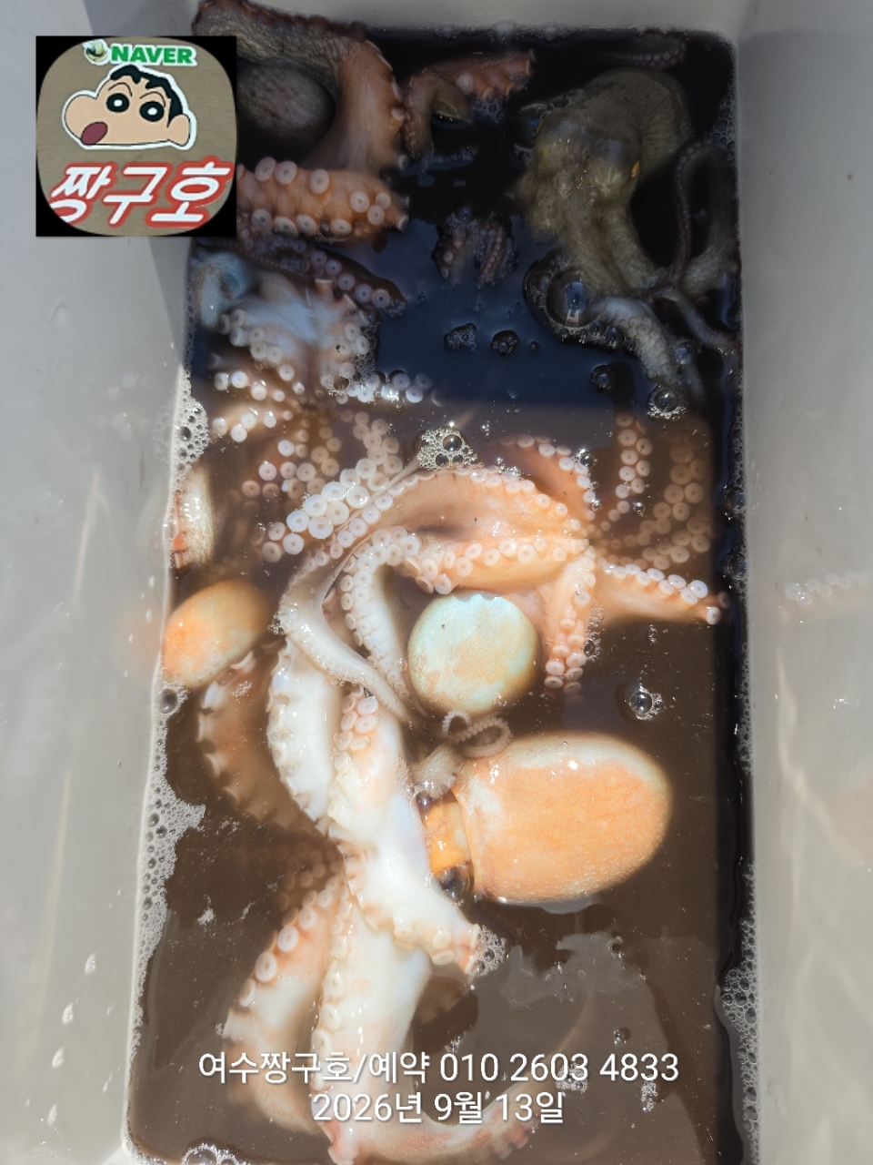 9월 13일 여수 문어 선상낚시 조황 현장 사진 4
