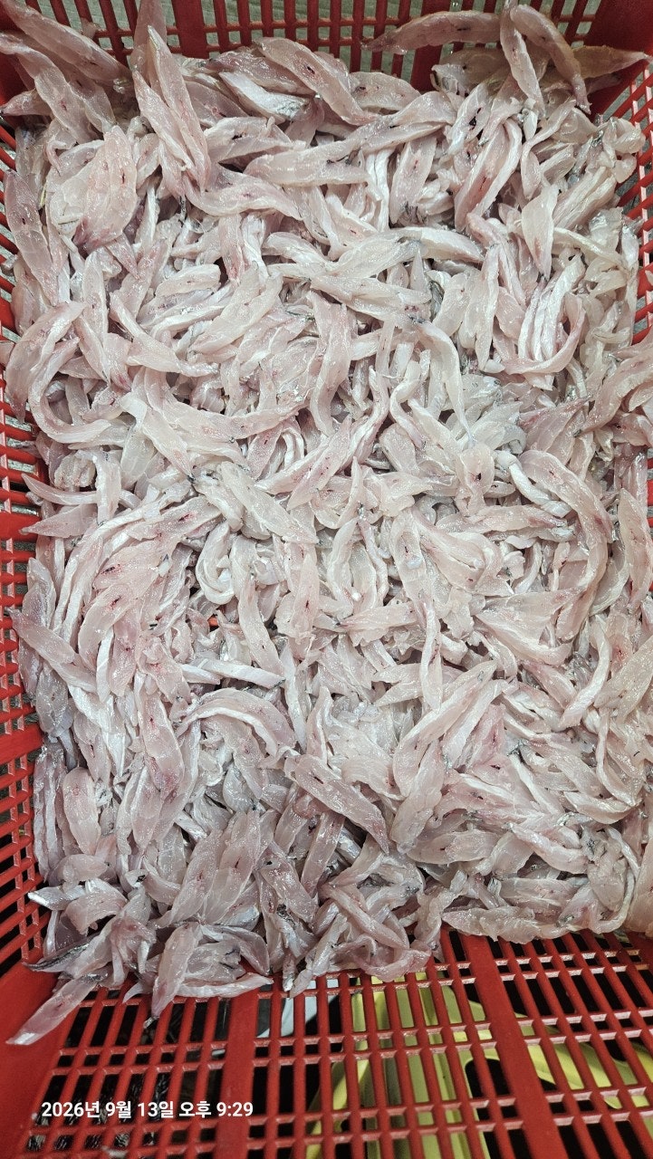 ����ڰ� �ø� �̹���