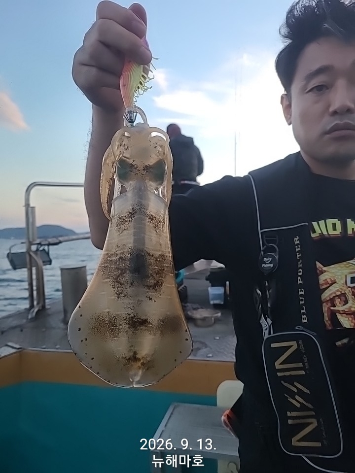 9월 14일 포항 무늬오징어 선상낚시 조황 현장 사진 21
