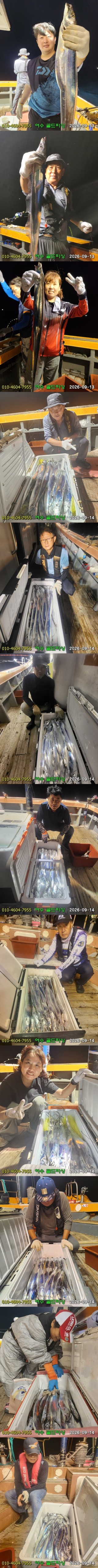 9월 14일 여수 갈치 선상낚시 조황 현장 사진 2