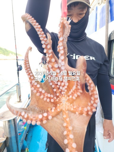 9월 14일 여수 문어 선상낚시 조황 현장 사진 9
