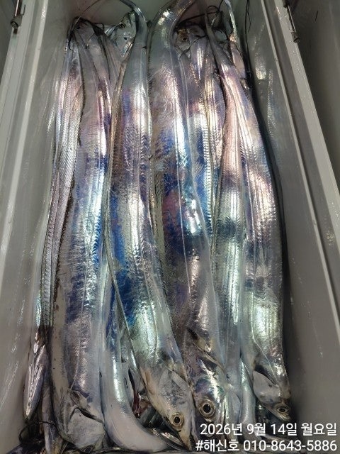 ����ڰ� �ø� �̹���