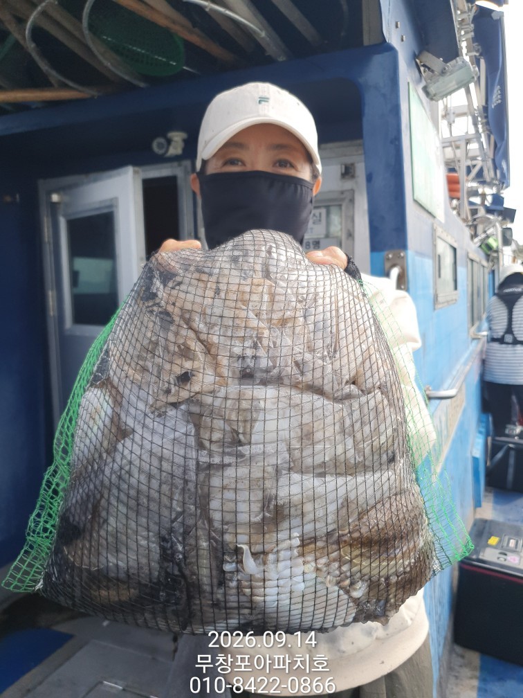 9월 14일 포항 주꾸미 선상낚시 조황 현장 사진 6
