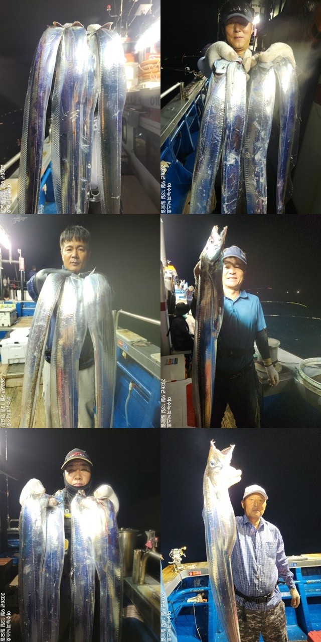 9월 14일 남해 갈치 선상낚시 조황 현장 사진 1
