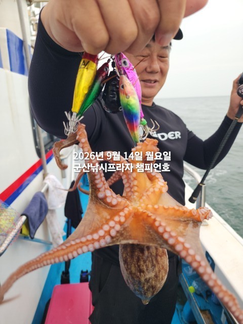 9월 14일 여수 문어 선상낚시 조황 현장 사진 10