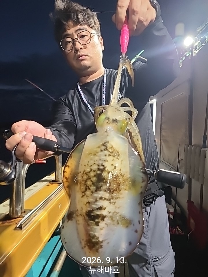 9월 14일 포항 무늬오징어 선상낚시 조황 현장 사진 12
