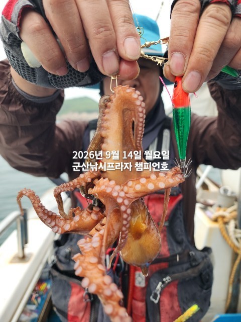 9월 14일 여수 문어 선상낚시 조황 현장 사진 11