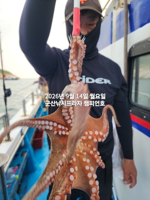 9월 14일 여수 문어 선상낚시 조황 현장 사진 7