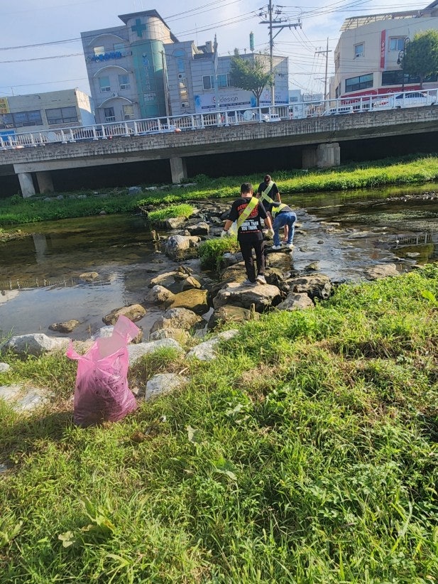 사용자가 올린 이미지