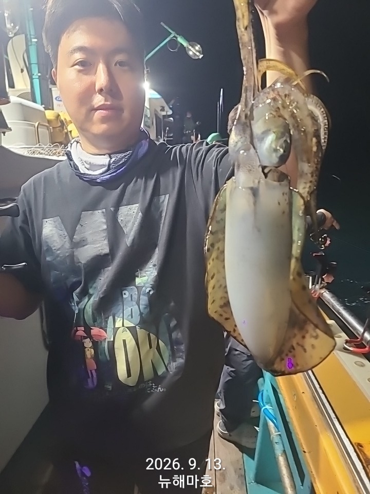 9월 14일 포항 무늬오징어 선상낚시 조황 현장 사진 4
