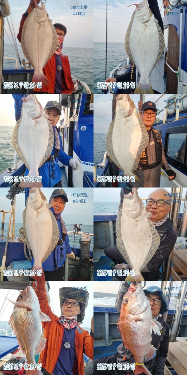 9월 14일 군산 주꾸미 선상낚시 조황 현장 사진 2